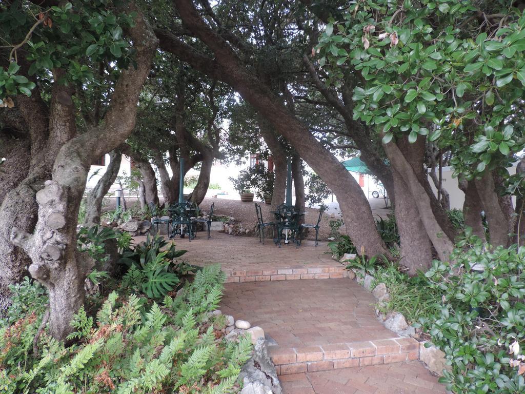 MIlkwood alojamiento Hermanus Exterior foto