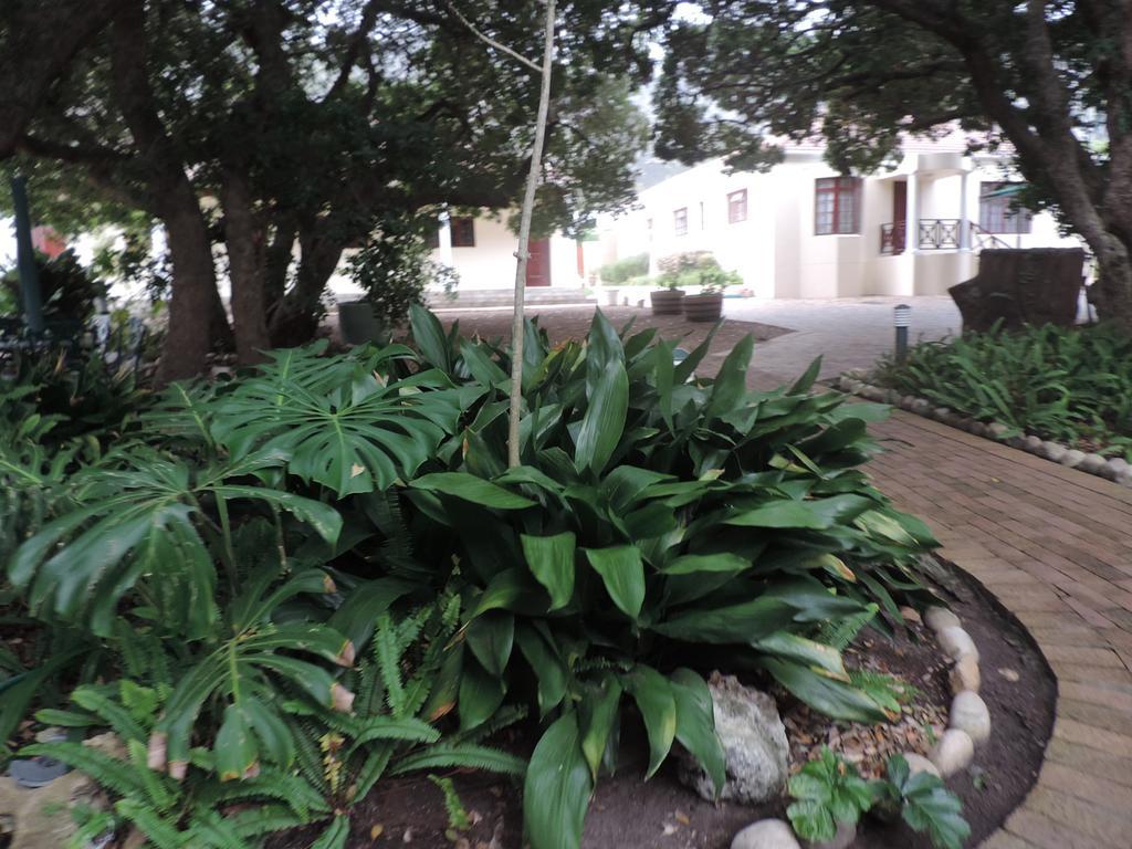 MIlkwood alojamiento Hermanus Exterior foto