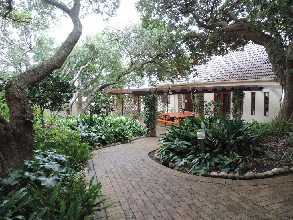 MIlkwood alojamiento Hermanus Exterior foto